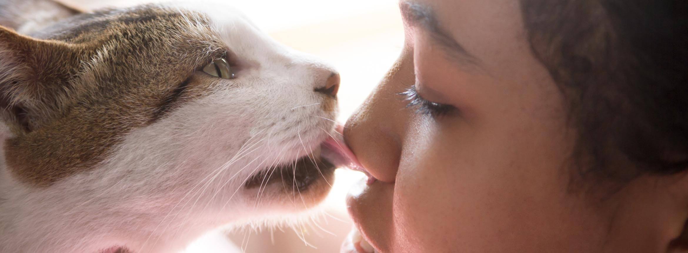 image of a cat licking it's owner