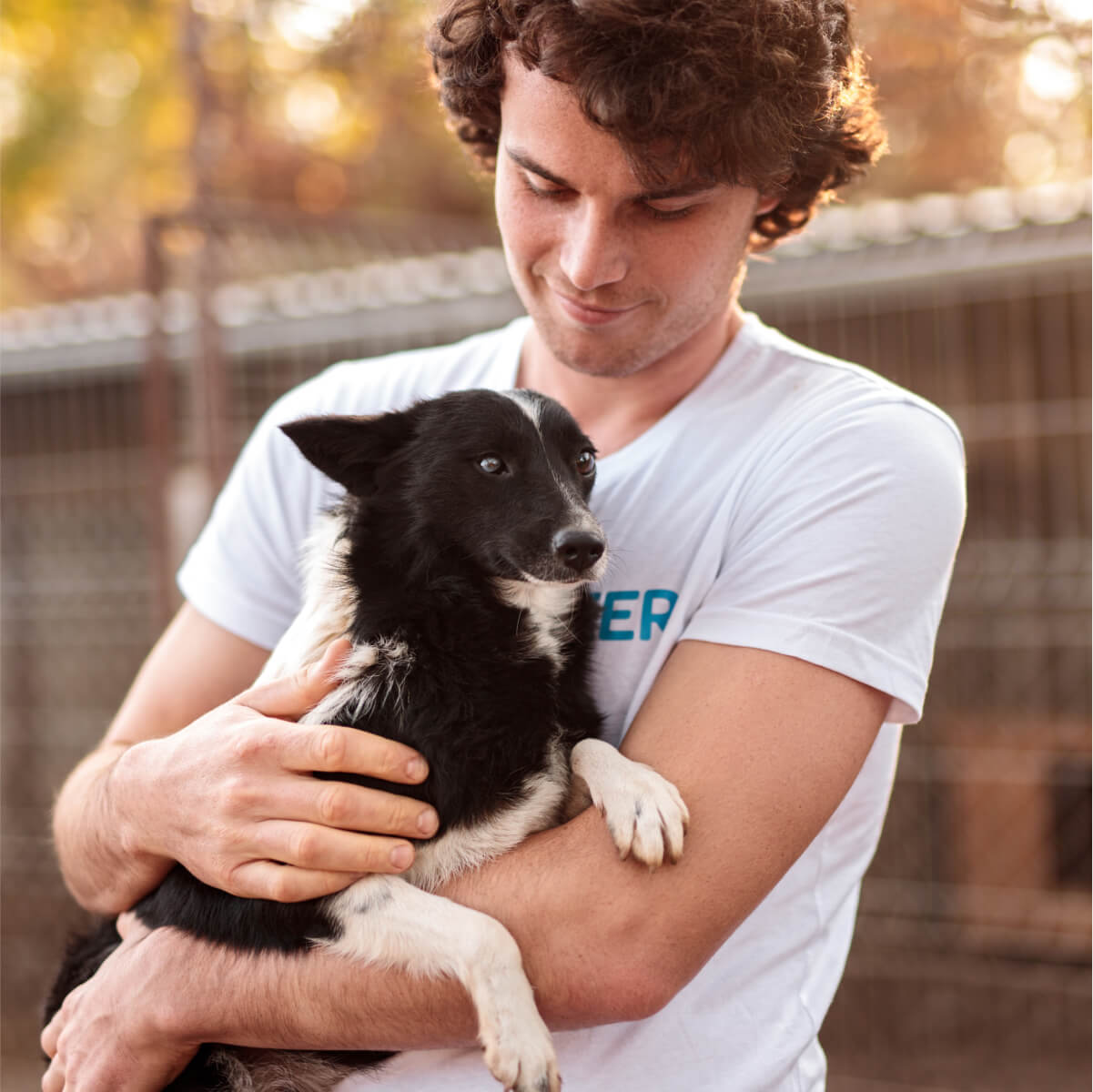 Volunteer on location Images of a man with a Dog