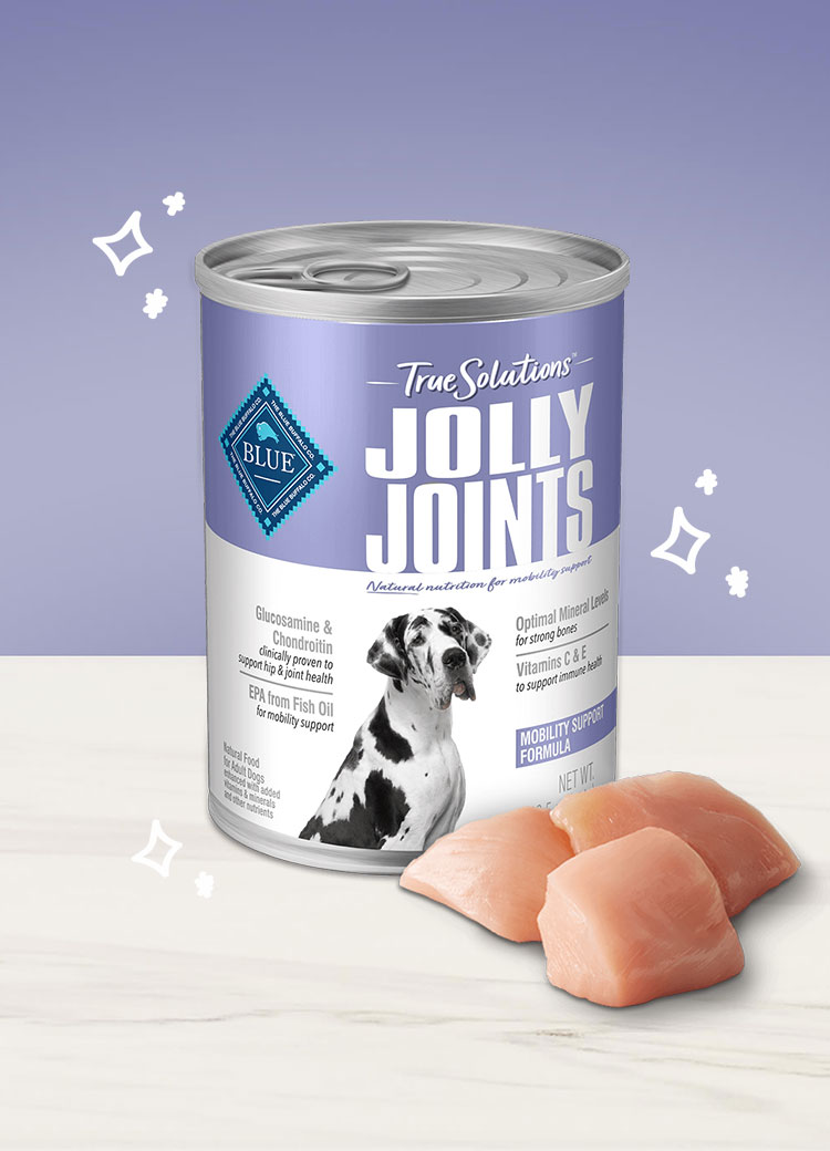 true solutions jolly joints wet dog food