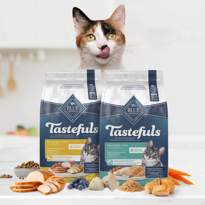 A cat sits behind two bags of Tastefuls cat food with various ingredients on a kitchen counter.