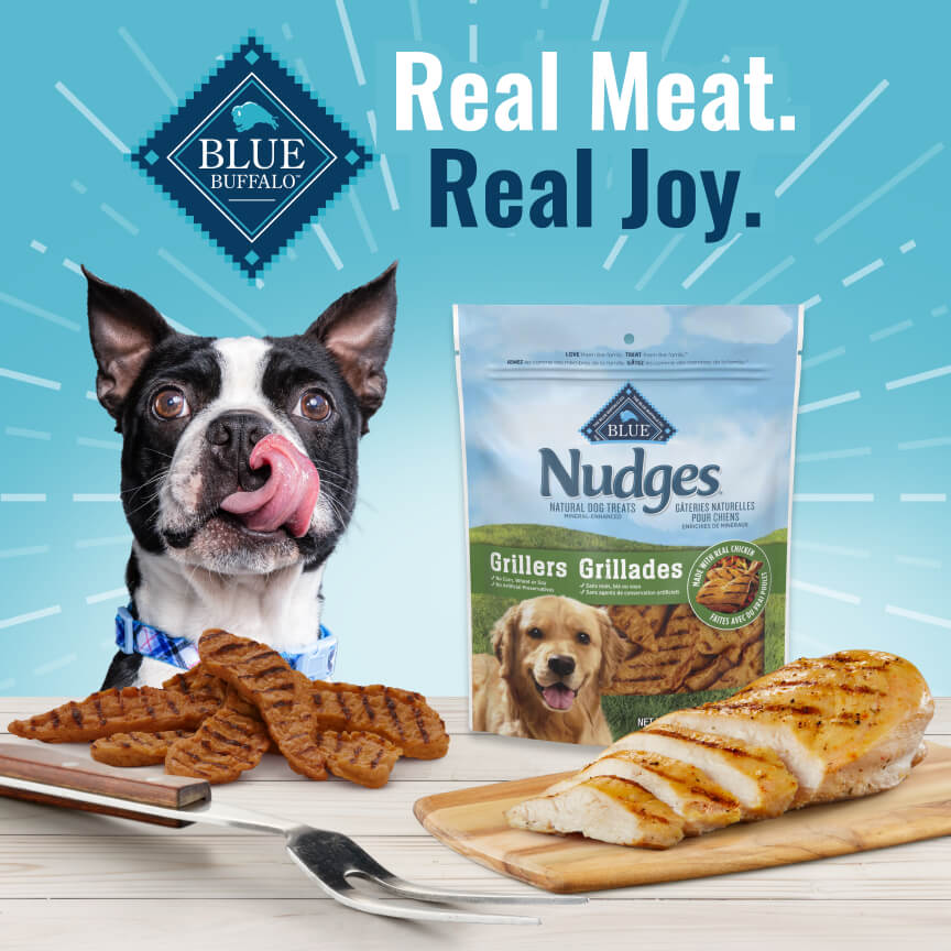 A dog is licking its mouth looking at grilled meat. A grilling utensil and a bag of BLUE Nudges Grillers are on the counter.