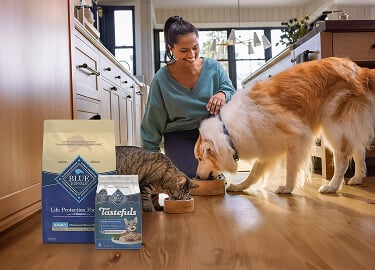 A woman feeds her dog and cat in the kitchen with healthy pet food products.
