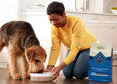 woman feeding her dog