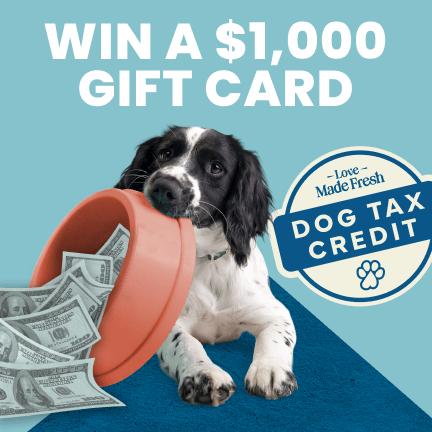 A black and white dog is holding a dog dish overflowing with money and text that reads, "Dog Tax Credit."