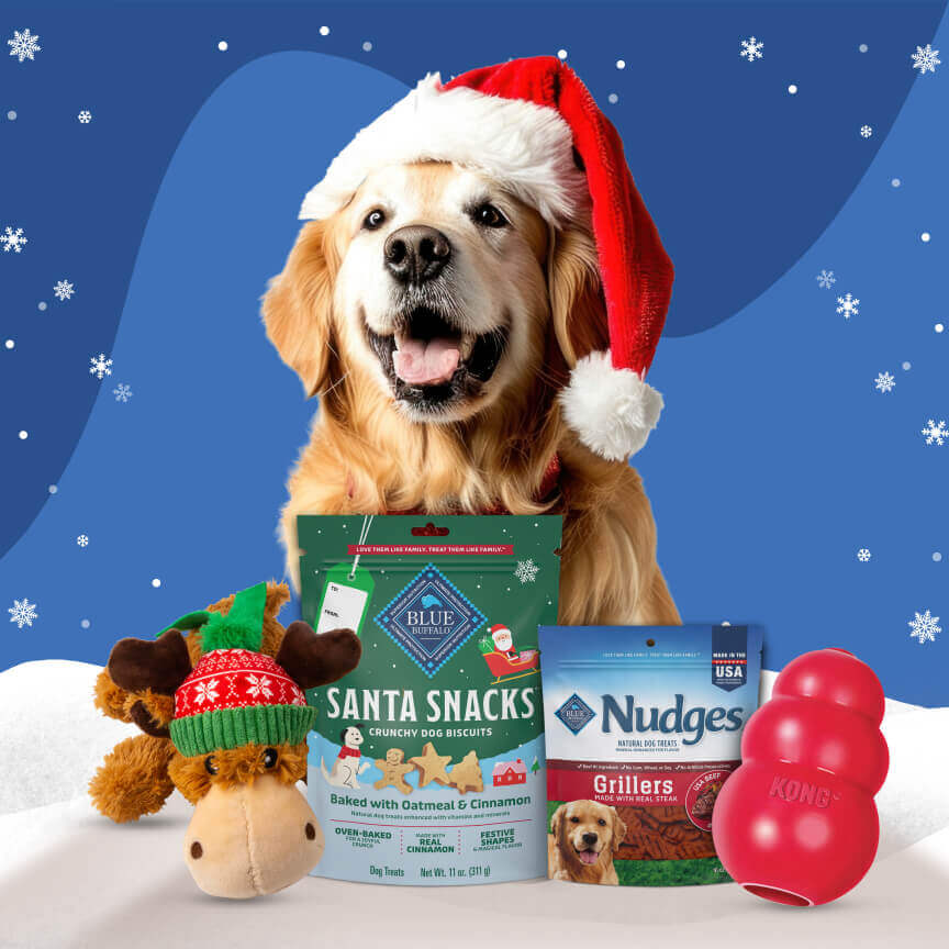 A beaming golden retriever wearing a Santa hat is behind two packs of BLUE dog treats and two KONG toys. 