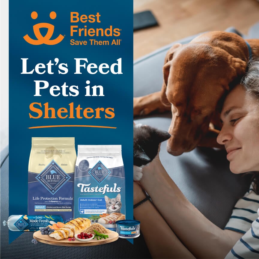 A Pet Parent is smiling & holding her kitten while cuddling with her dog. BLUE pet foods & fresh ingredients are on the left.