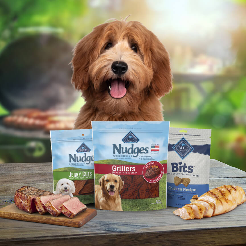 A brown dog with long fur sticks out its tongue, sitting behind three neatly arranged bags of Blue Buffalo dog treats and cuts of fresh meat featured in the treat recipes.