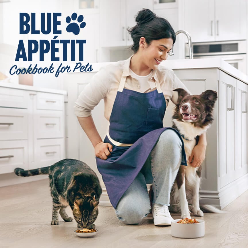 Person in a kitchen with a cat and dog, both eating from bowls; text reads "Blue Appétit Cookbook for Pets.