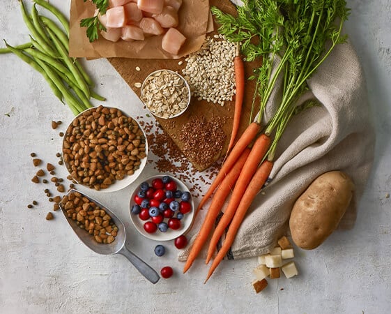 Ingredients on a table: cubed chicken, carrots, a potato, green beans, berries, grains, leafy greens, and kibble in bowls.