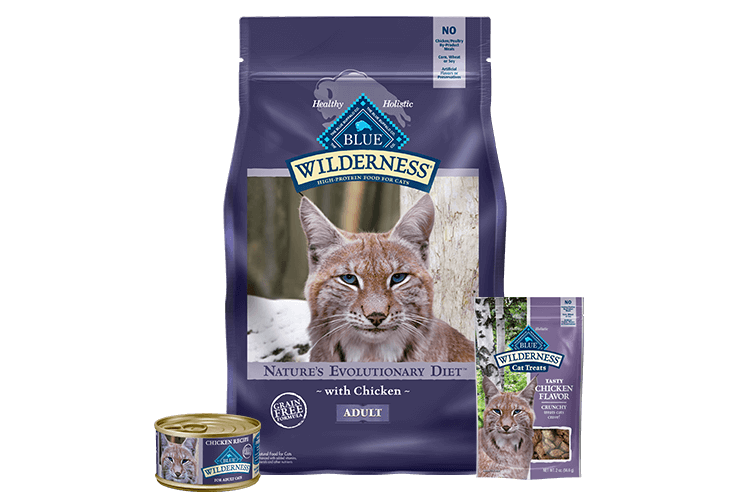 Blue Buffalo Wilderness cat food