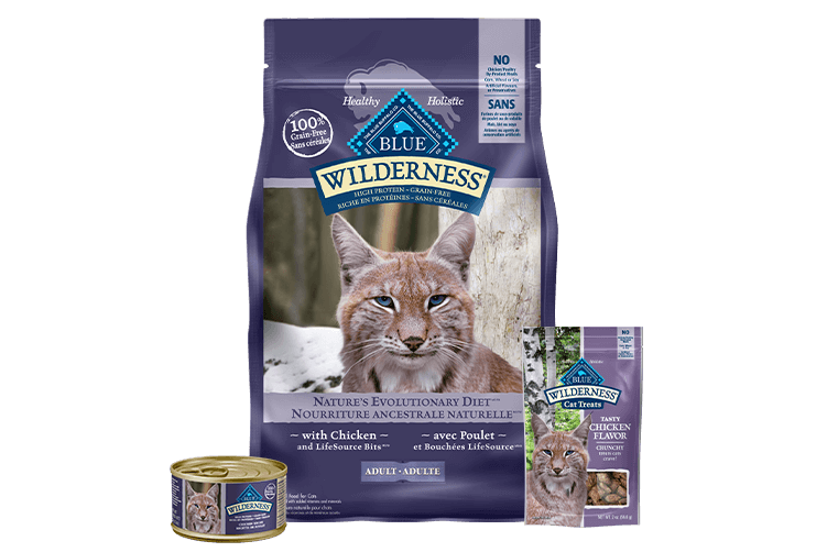Blue Buffalo Wilderness cat food