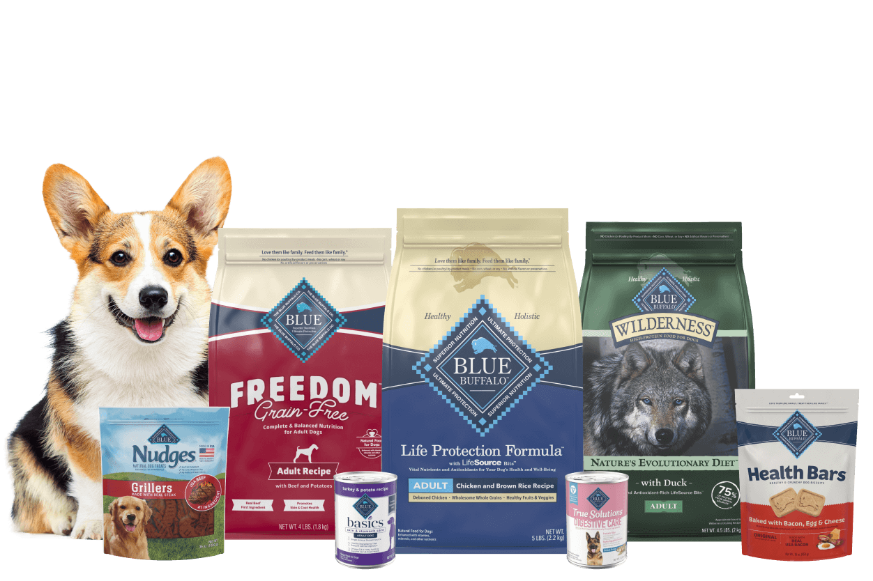 Dog with blue buffalo dog food