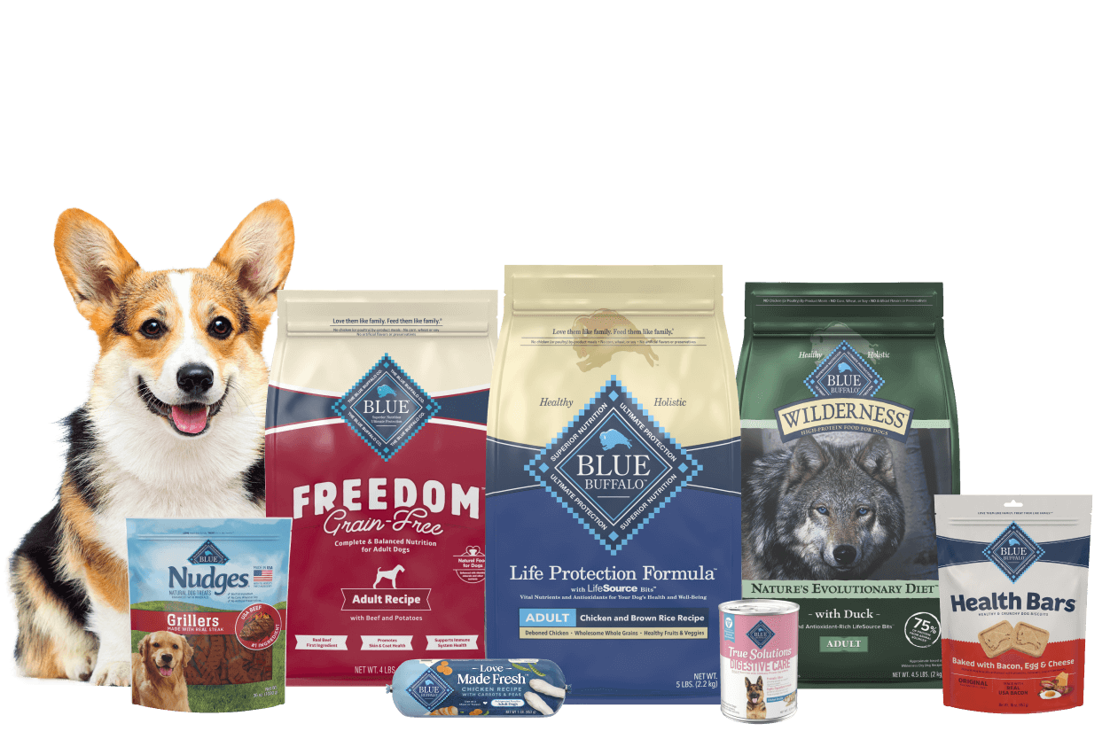 Dog with blue buffalo dog food