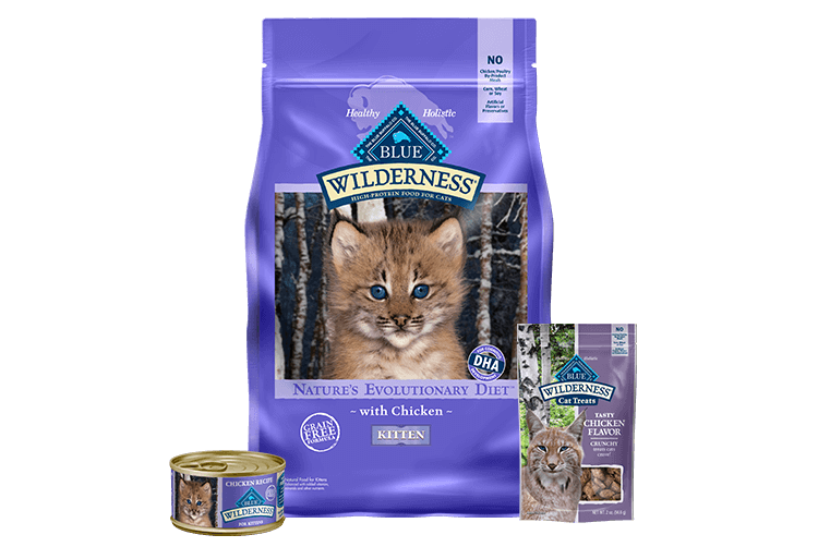 Blue Buffalo Wilderness kitten food