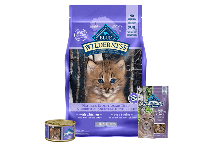 Blue Buffalo Wilderness kitten food
