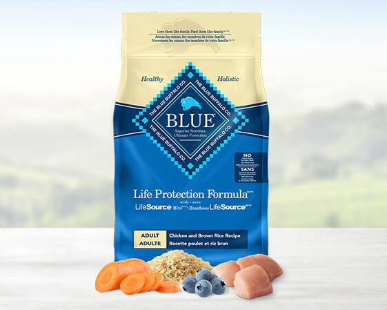 BB Salmon Product 2