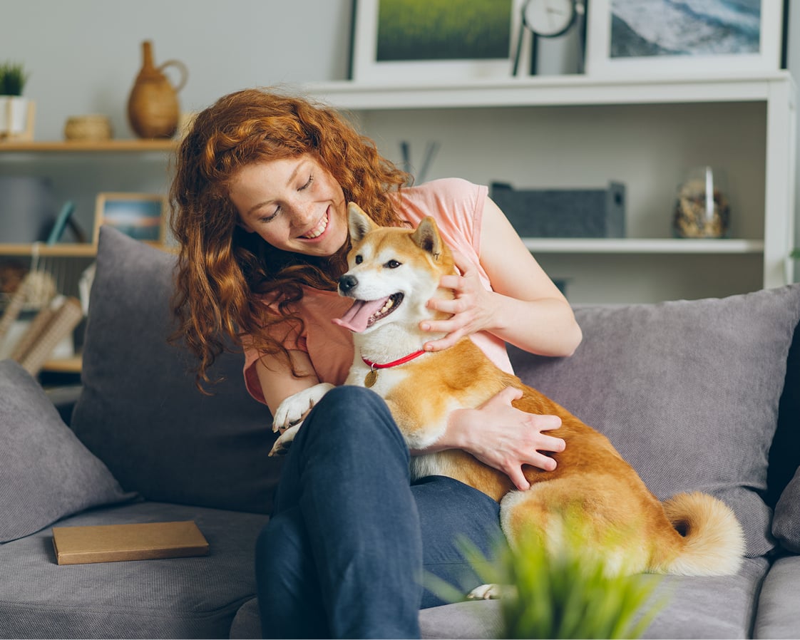 Red haired woman looking at and petting a medium sized dog on couch in a home setting