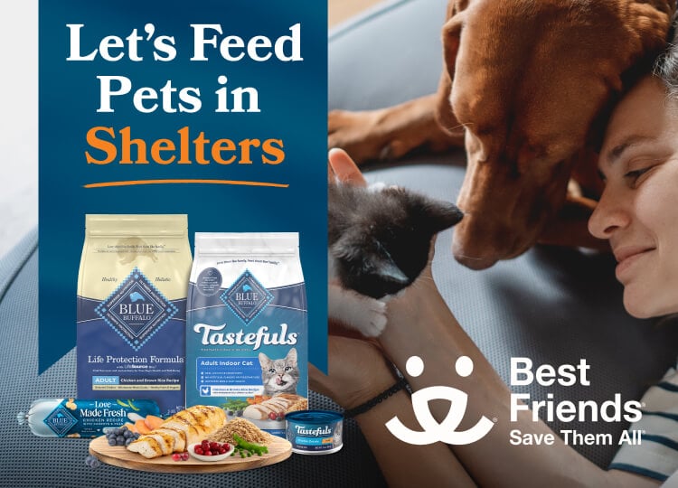 A Pet Parent is smiling & holding her kitten while cuddling with her dog. BLUE pet foods & fresh ingredients are on the left.