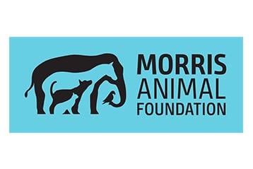 moris animal foundation logo