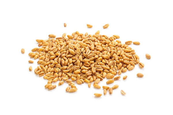Whole Grain Wheat
