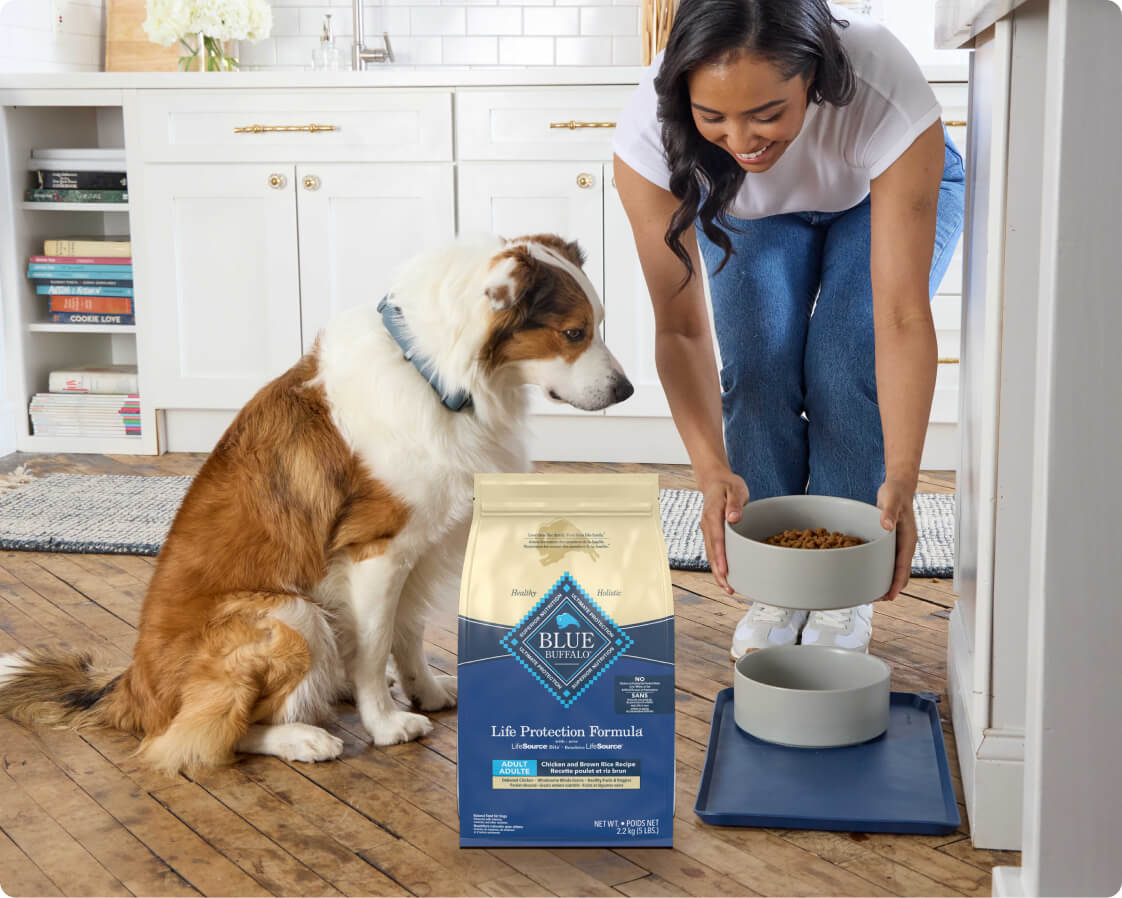 A woman happily serves food to her dog in the kitchen with a bag of premium kibble nearby.