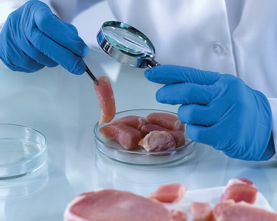 Meat in the lab