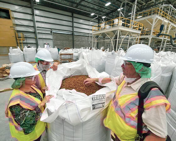 Employees in a BB factory