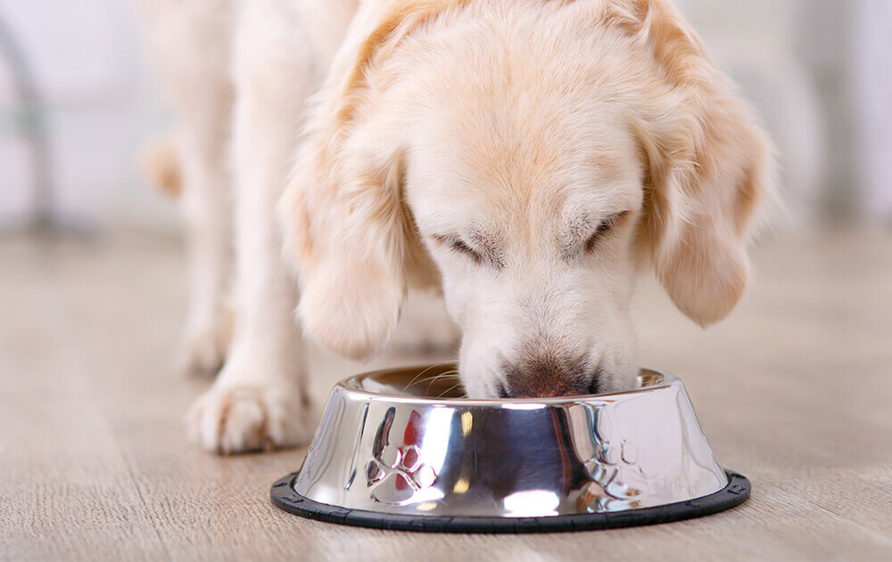 Trumune Landing Page Health