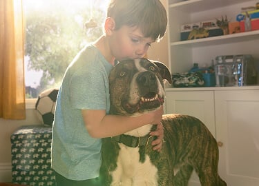 A young boy gently hugs his dog and lovingly kisses their head.
