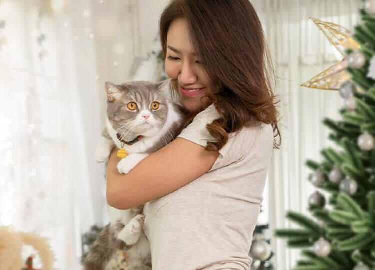 Cat Treats
