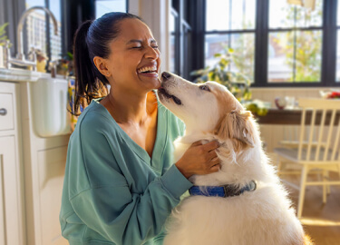 A Pet Parent is laughing as her big white-and-brown dog licks her face. They’re sitting in a sun-kissed kitchen.