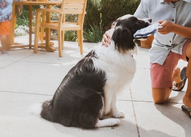 BLUE Stix dog treats