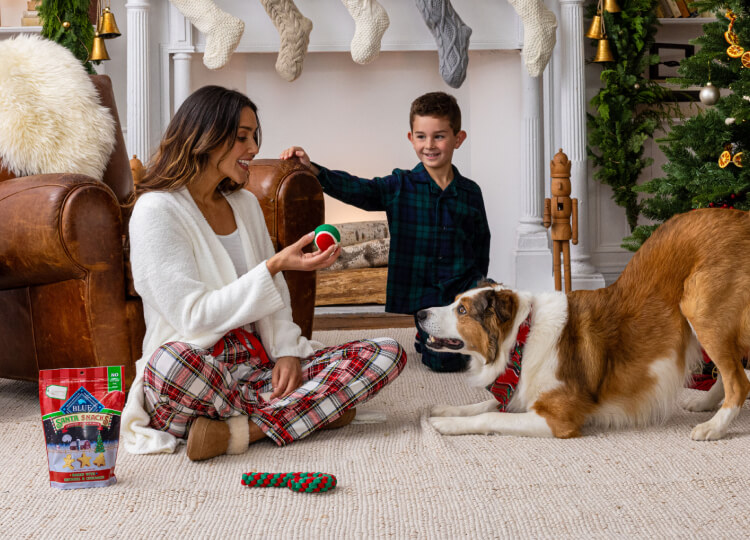 A pack of BLUE Santa Snacks Bits and Santa Snacks Crunchy Dog Biscuits