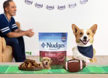 A man watches a football game as a dog sits near a table where a football sits next to BLUE Nudges Grillers, some in packaging and some out.