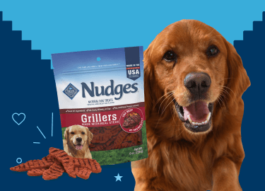 Golden retriever beside a Blue Buffalo Nudges Grillers steak-flavored dog treats package, with treat pieces displayed in front.