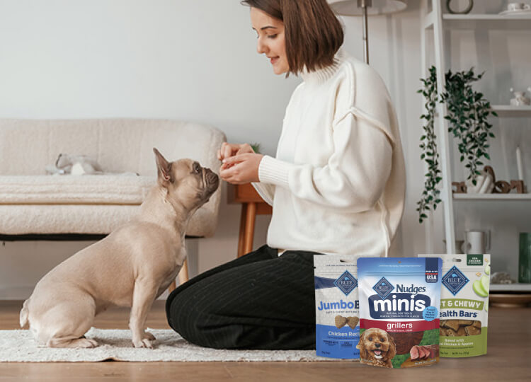 Woman kneeling and giving a treat to her dog in a living room, with treats and snack bags in the foreground.