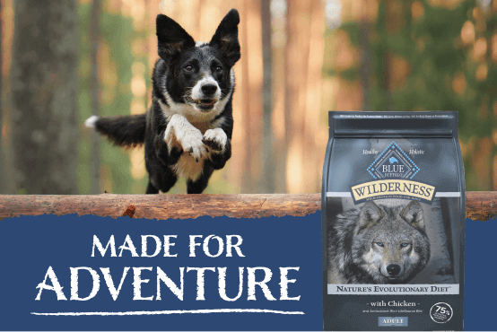 BLUE Wilderness High-Protein Dog Food Treats for Adult Dogs