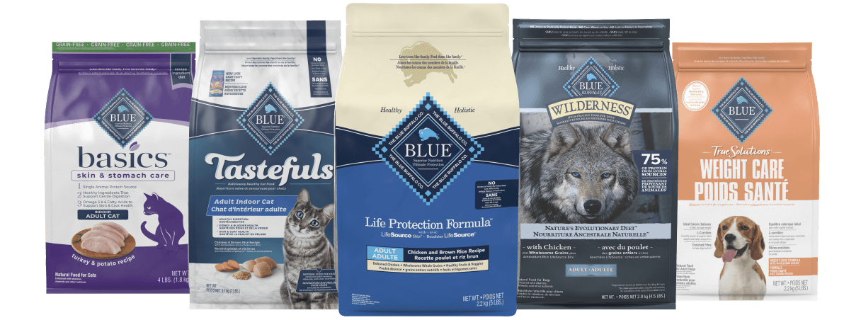 Product Recomender Family Shots-DogCat