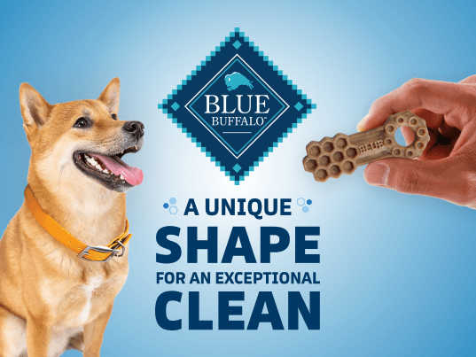 blue dental chews small dental chews with chicken & spearmint dog treats