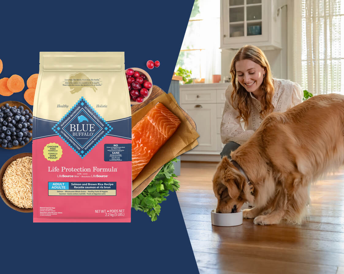 A bag of BLUE dry dog food is surrounded by fresh ingredients used to make the food. A woman is feeding her dog and smiling.