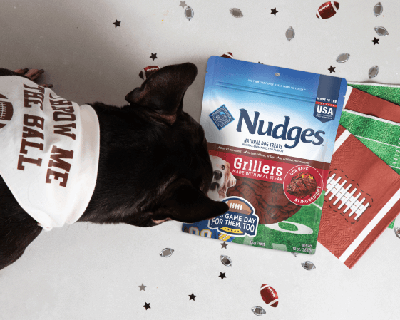 Black dog wearing “Throw Me the Ball” bandana sniffing a Nudges Grillers dog treats bag beside a football-themed towel