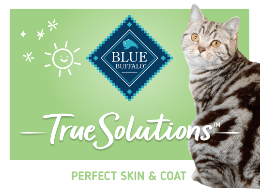 blue true solutions skin & coat care salmon & brown rice recipe cat dry food