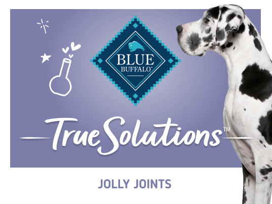 blue true solutions jolly joints mobility support dog dry food