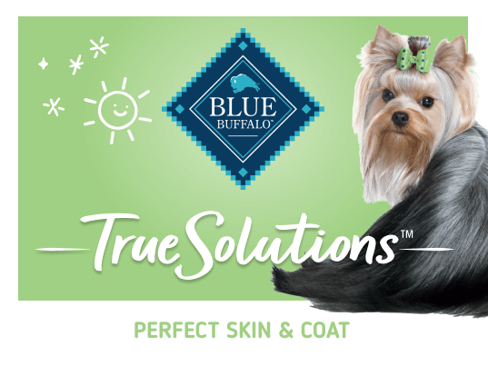 blue true solutions skin & coat care whitefish recipe dog wet food