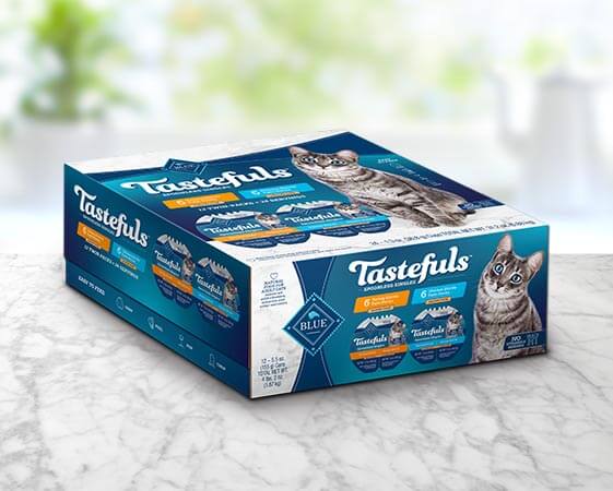Varity Packs Tasteful Singles Pate
