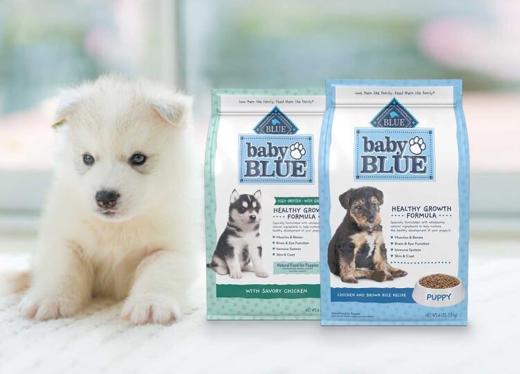 puppy sitting on kitchen counter next to dog food bags