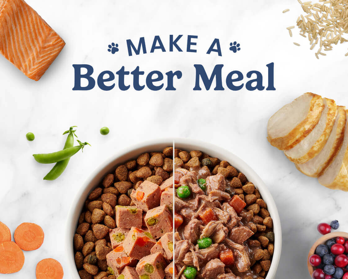 Dog food bowl with fresh ingredients and text 'Make a Better Meal' above.