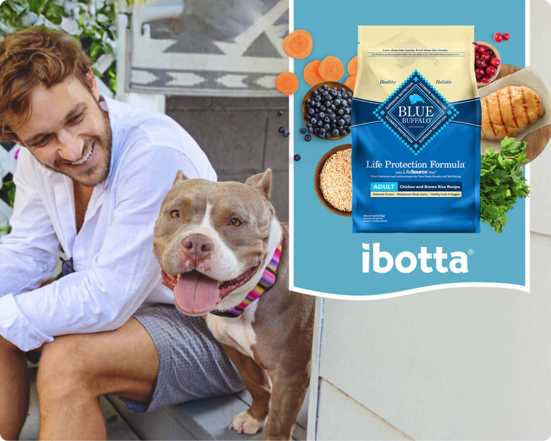 Split-screen image of a man smiling lovingly at his American Bully dog to the left of a bag of BLUE Life Protection with fresh ingredients surrounding it.