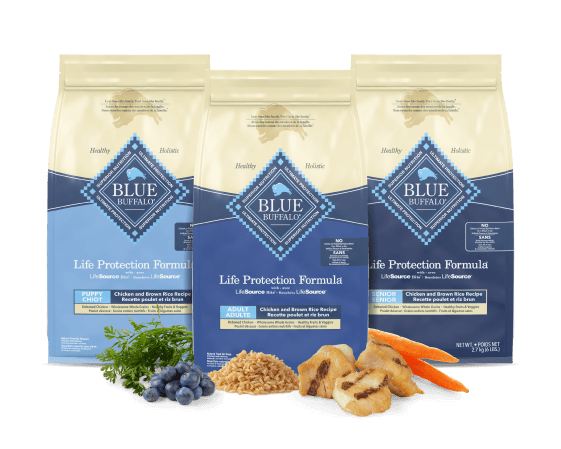 Three Blue Buffalo Life Protection Formula dog food bags: Puppy, Adult, and Senior Chicken and Brown Rice Recipe, with ingredients