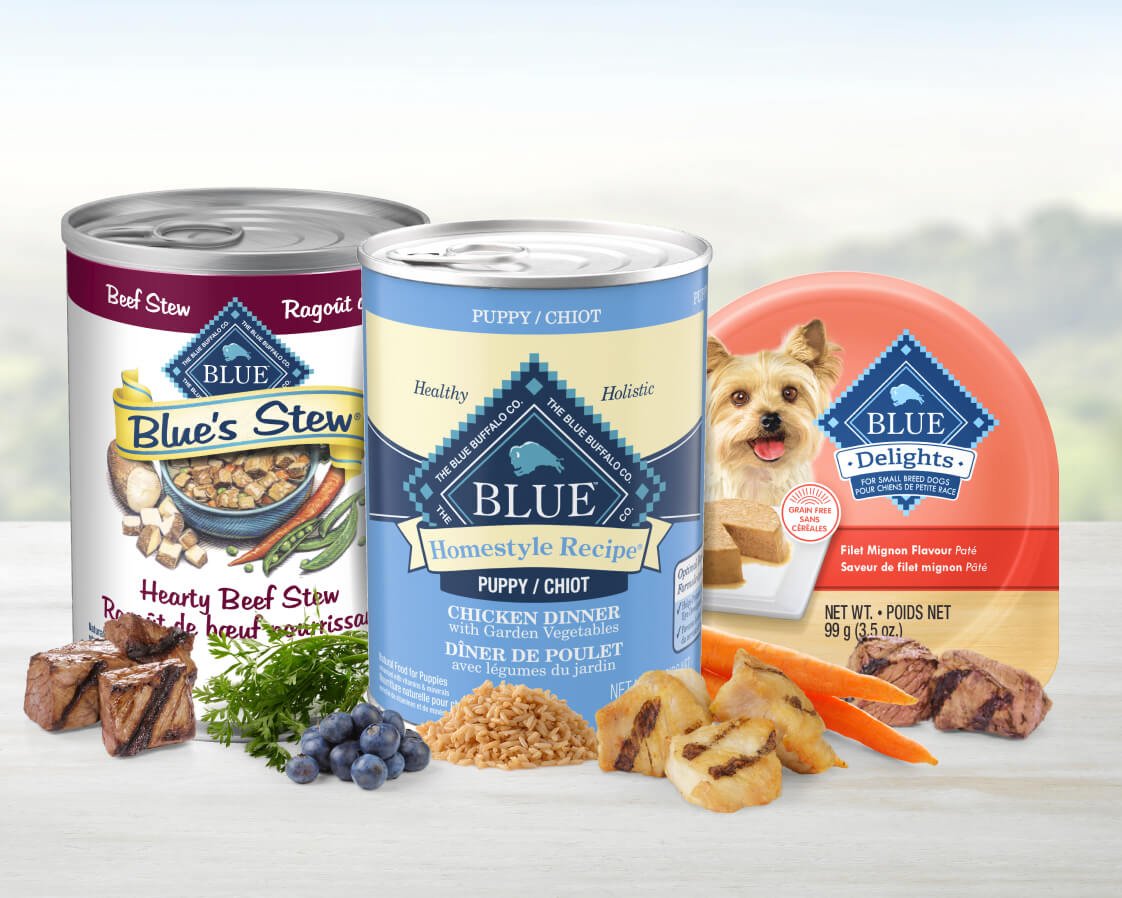 Two cans and a single-serve pack of Blue Buffalo wet dog food are positioned behind a neatly arranged assortment of fresh ingredients.